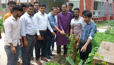 পরিবেশ দিবসে মানিকগঞ্জে ছাত্রদলের বৃক্ষরোপণ কর্মসূচি