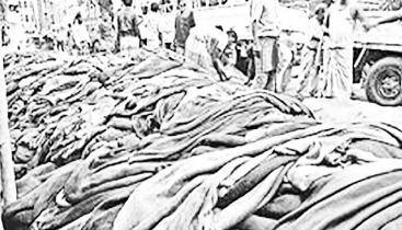 কোরবানির চামড়া সংগ্রহে প্রস্তুত হচ্ছে সাভার শিল্পনগরী